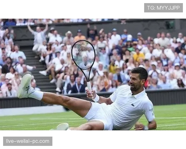德约科维奇早餐吃金箔配蛋白粉，这自律谁顶得住